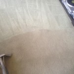 Carpet-Cleaning-Saratoga