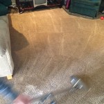 Dirty-Carpet-Cleaned-Saratoga