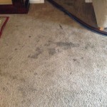 Dirty-Carpet-Saratoga-CA