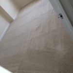 Saratoga-Carpet-Clean-room