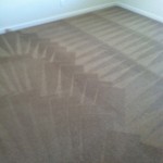 Saratoga-Carpet-Cleaning-Wall-To-Wall