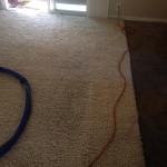 Saratoga-Traffic-Area-carpet-cleaners